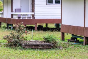 Septic Tank in Backyard