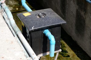 Don’t Let a Dirty Grease Trap Put Your Restaurant at Risk