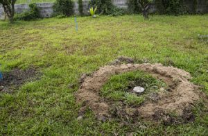 Septic Tank Buried in Lawn in Maryland