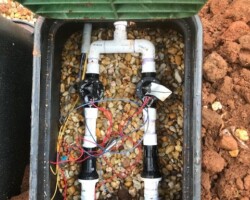 Drip System Installation