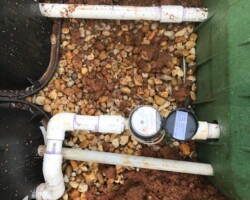 Drip System Installation